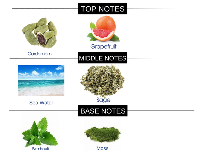 #17 FRAGRANCE BODY SPRAY - Ceed Fragrances