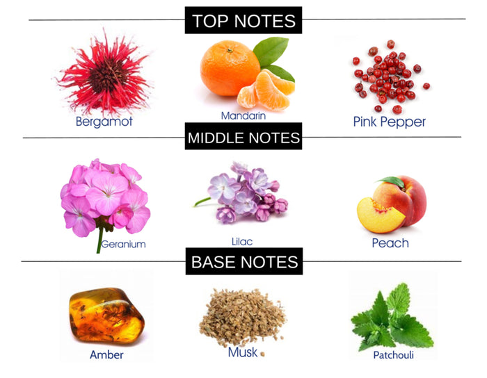 AMBER FLORALS COMPARE TO GUILTY WOMEN FRAGRANCE BODY BUTTER - Ceed Fragrances