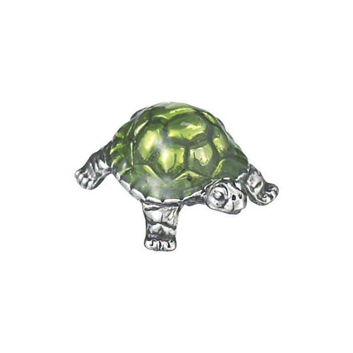 Lucky Little Turtle