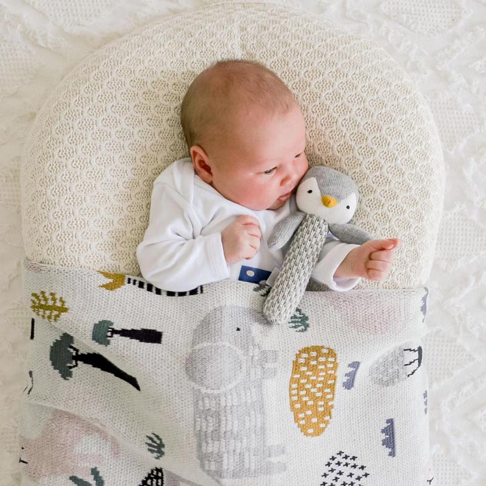 Di Lusso Living Asher Animals Baby Blanket | Koop.co.nz