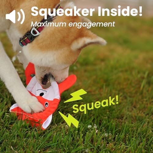 Fox Flying Disc Dog Toys Tug-of-War Toy Toys Pet Clever