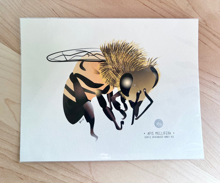 Gentle Africanized Honey Bee
