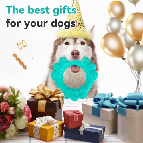 Indestructible Dog Chew Ring Toys for Aggressive Chewers Dog Toys Pet Clever