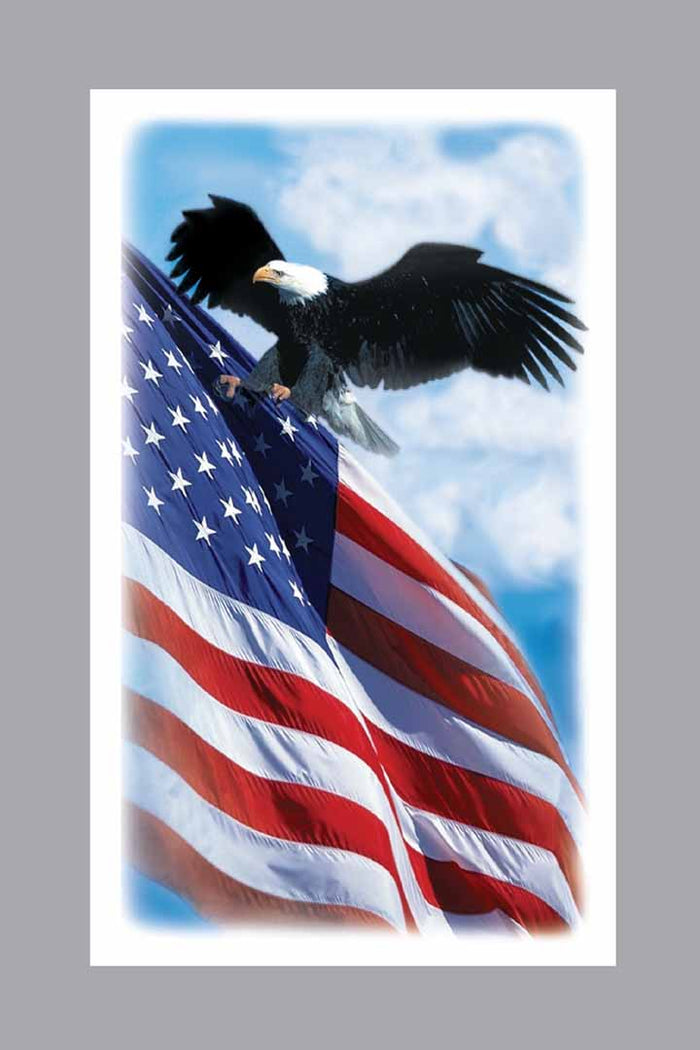 Patriotic Prayer Cards - ST722-MIC-PC