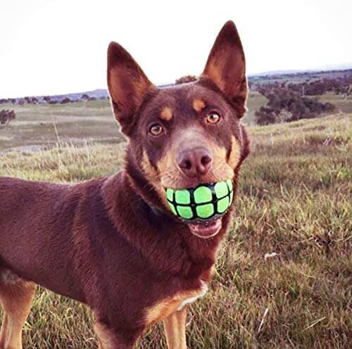 Rubber Funny Ball Gifts for Large Medium Dogs (Variety Pack) Toys Pet Clever