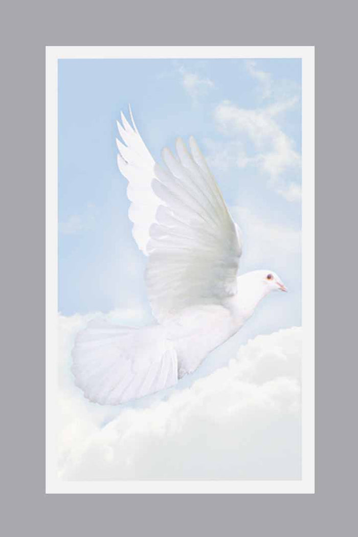 Wings of Hope Prayer Cards - ST777-PC