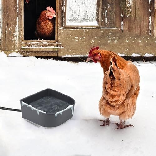 1 L Outdoor and Indoor Heated Water Bowl for Pet Dog Bowls & Feeders Pet Clever