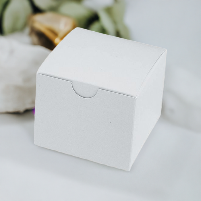 20341 Model Boxes Single White 3 1/2 x 2 3/4 x 3 3/4" QTY 100