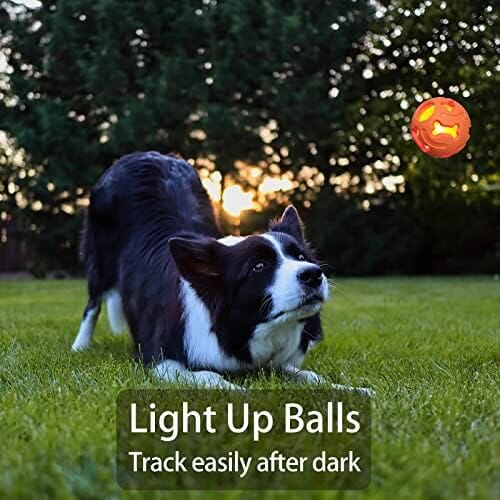 3-Pack Interactive Light up Balls Rubber Durable Fetch Training Balls Toys Pet Clever