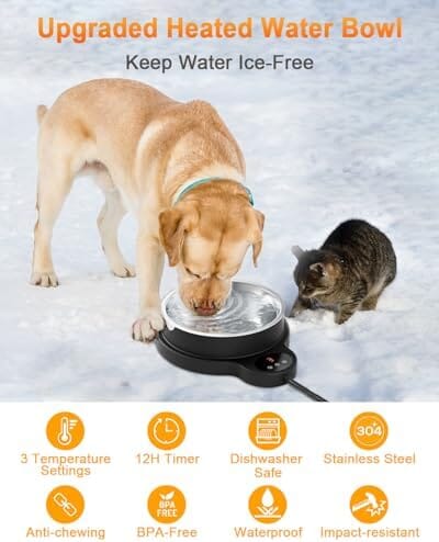 3 Temperature Settings & 12H Timer Outdoor Heated Pet Bowl Dog Bowls & Feeders Pet Clever