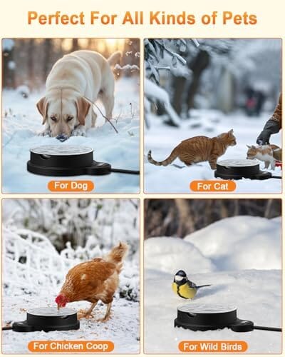 3 Temperature Settings & 12H Timer Outdoor Heated Pet Bowl Dog Bowls & Feeders Pet Clever