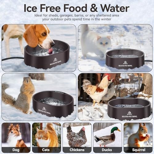 3.7L Automatic Heated Dog Bowl Outdoor with Anti Chew Cord Dog Bowls & Feeders Pet Clever