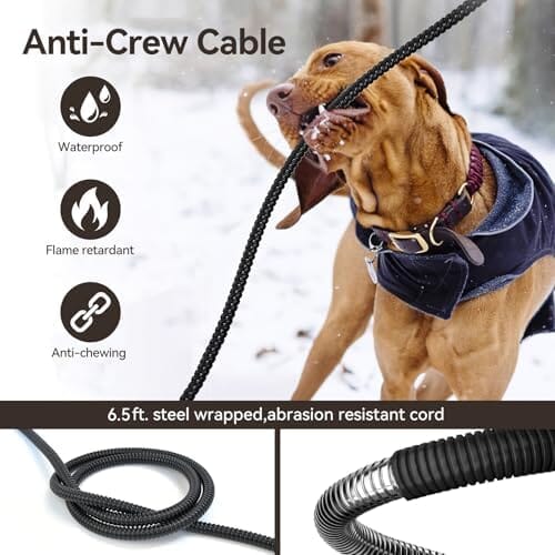 3.7L Automatic Heated Dog Bowl Outdoor with Anti Chew Cord Dog Bowls & Feeders Pet Clever