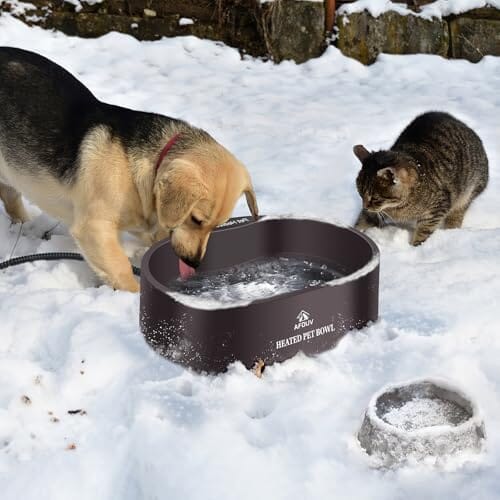 3.7L Automatic Heated Dog Bowl Outdoor with Anti Chew Cord Dog Bowls & Feeders Pet Clever