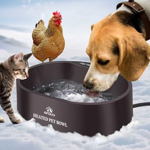 3.7L Automatic Heated Dog Bowl Outdoor with Anti Chew Cord Dog Bowls & Feeders Pet Clever