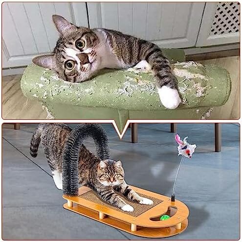 5-in-1 Multifunctional Cardboard Cat Scratcher Dog Hair Trimmers Pet Clever