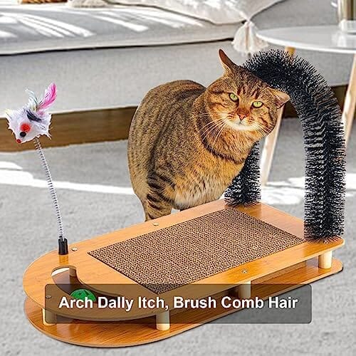 5-in-1 Multifunctional Cardboard Cat Scratcher Dog Hair Trimmers Pet Clever