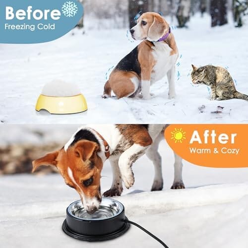 55W 80oz Removable Stainless Steel Heated Dog Pet Bowl with Anti Chew Cord Dog Bowls & Feeders Pet Clever