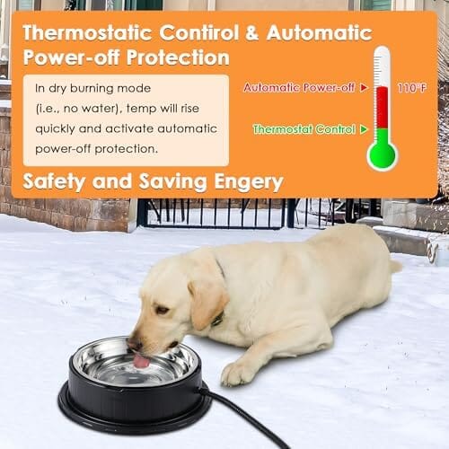 55W 80oz Removable Stainless Steel Heated Dog Pet Bowl with Anti Chew Cord Dog Bowls & Feeders Pet Clever