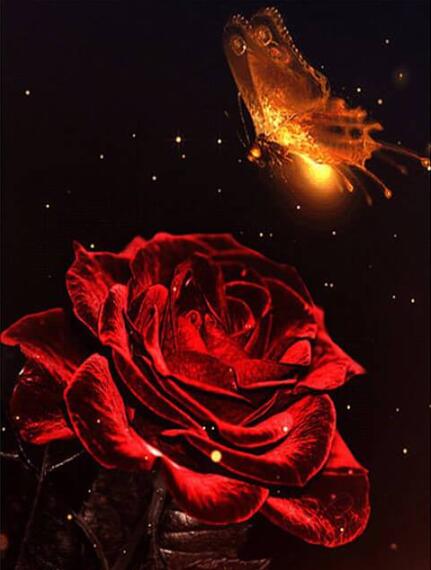 5d Hotsale Diamond Painting Kit - DIY Custom Kits  260