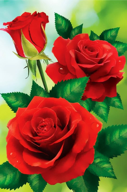 5d Hotsale Diamond Painting Kit - DIY Custom Kits  267