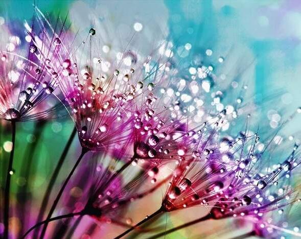 5d Hotsale Diamond Painting Kit - DIY Custom Kits  306