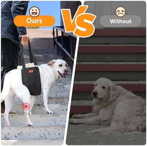 Adjustable Dog Lift Harness Dog Sling for Large Dogs Dog Harness Pet Clever