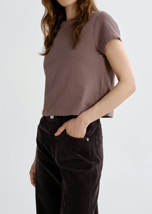Agolde Adine Shrunken Tee