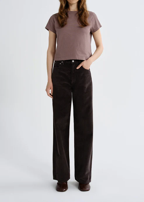 Agolde Adine Shrunken Tee