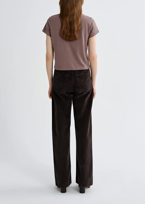 Agolde Adine Shrunken Tee