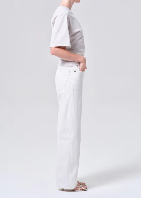 Agolde Arc Jean