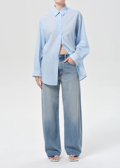 Agolde Low Curve Jean