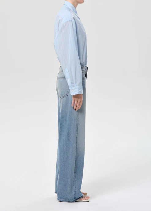 Agolde Low Curve Jean