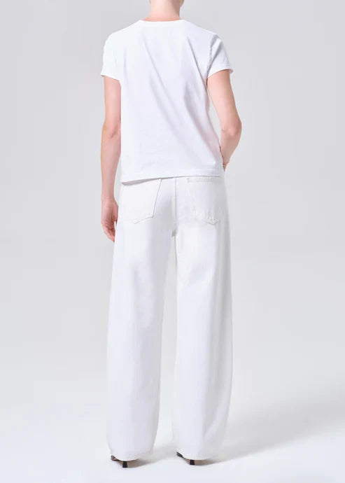 Agolde Low Curve Jean