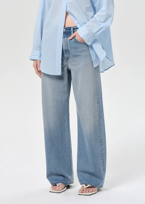 Agolde Low Curve Jean