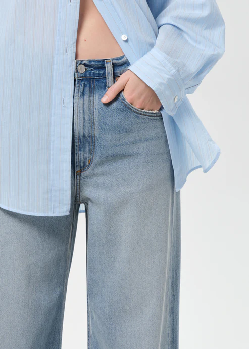 Agolde Low Curve Jean