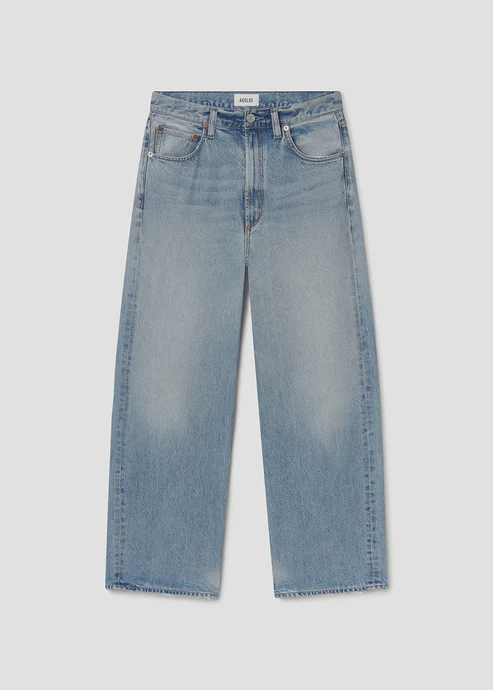 Agolde Low Curve Jean