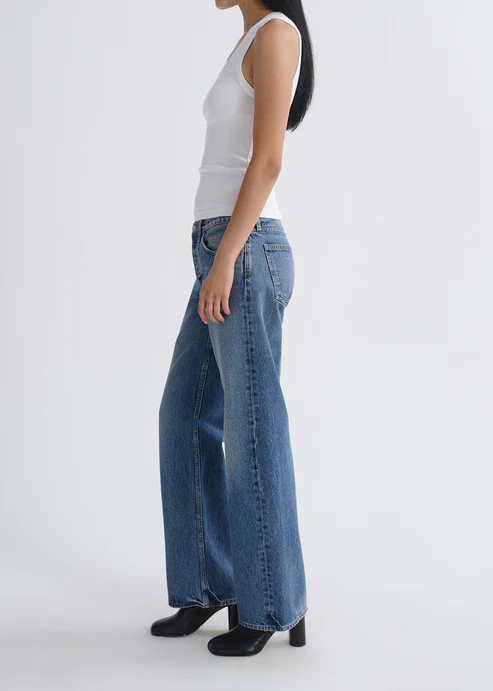 Agolde Low Rise Loose Jean