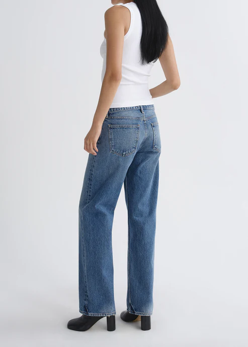 Agolde Low Rise Loose Jean