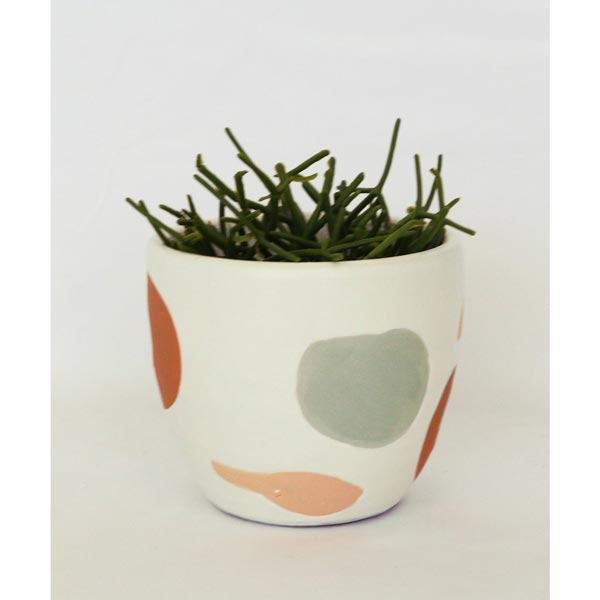 Urban Products Amara Planter (11cm) | Koop.co.nz