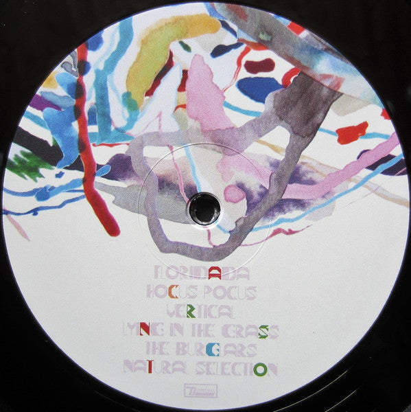 Animal Collective - Painting With (LP) [Europe] 1st (Very Good Plus (VG+))