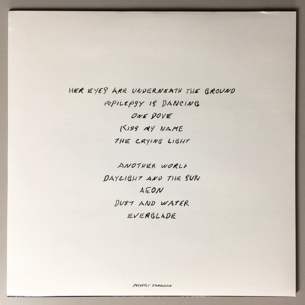 Antony And The Johnsons - The Crying Light (LP) [US] 1st (Very Good Plus (VG+))
