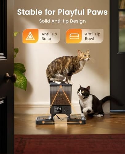 Automatic Cat Feeder for 2 Cats, 20 Cups/5L Automatic Cat Food Dispenser Dog Bowls & Feeders Pet Clever