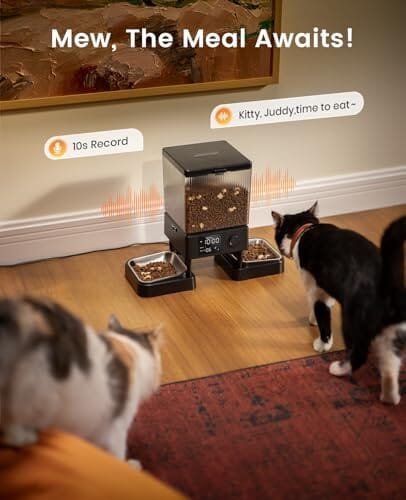 Automatic Cat Feeder for 2 Cats, 20 Cups/5L Automatic Cat Food Dispenser Dog Bowls & Feeders Pet Clever