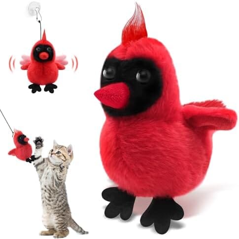 Automatic Interactive Cat Toys for Indoor Cats with 2 Speeds Cat Toys Pet Clever