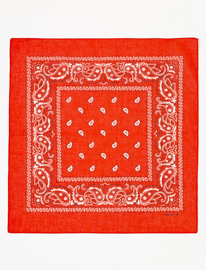 Orange Brûlée / ONE SIZE