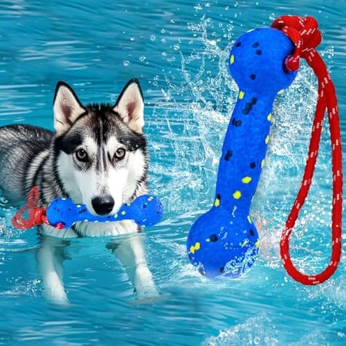 Beach & Outdoor Play – Dogs Beach Essentials (Blue Stick) Toothbrush Pet Clever