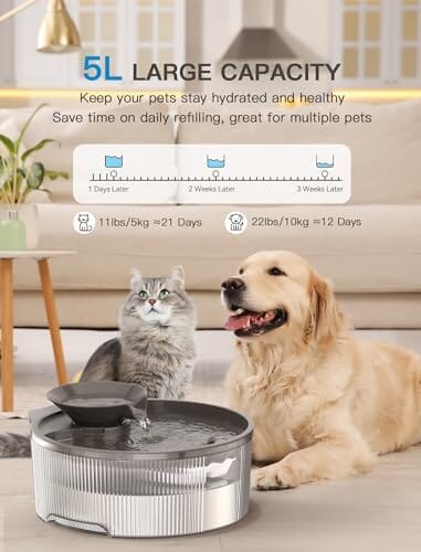 Big Dog Water Bowl Dispenser for Multi-Pets Family (Clear+4Filters+4Sponges) Dog Bowls & Feeders Pet Clever