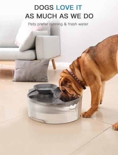 Big Dog Water Bowl Dispenser for Multi-Pets Family (Clear+4Filters+4Sponges) Dog Bowls & Feeders Pet Clever