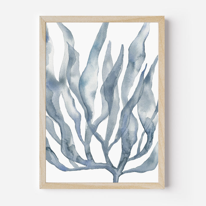 Blue Watercolor Seaweed Painting No. 2  - Art Print or Canvas - Jetty Home